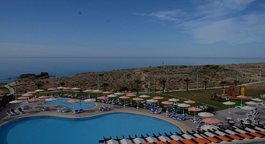 ����� � ���������� NARDI alfa blue